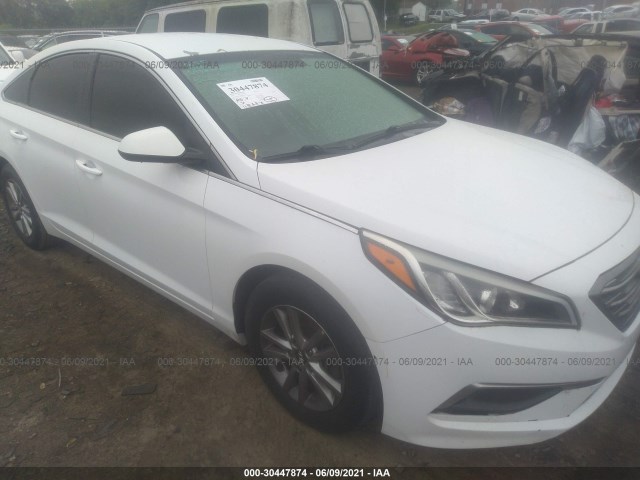 HYUNDAI SONATA 2017 5npe24af8hh549566