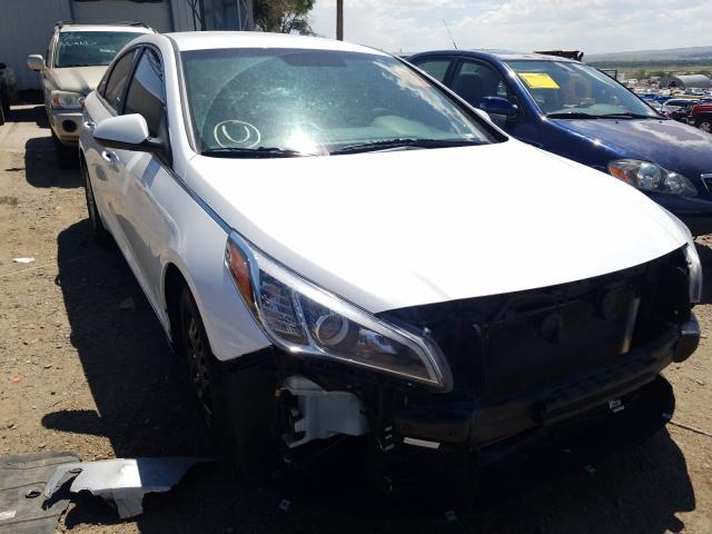 HYUNDAI SONATA 2017 5npe24af8hh549583