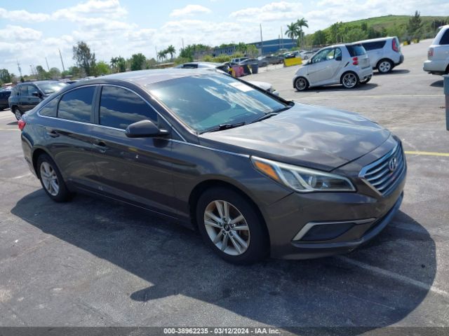 HYUNDAI SONATA 2017 5npe24af8hh549647