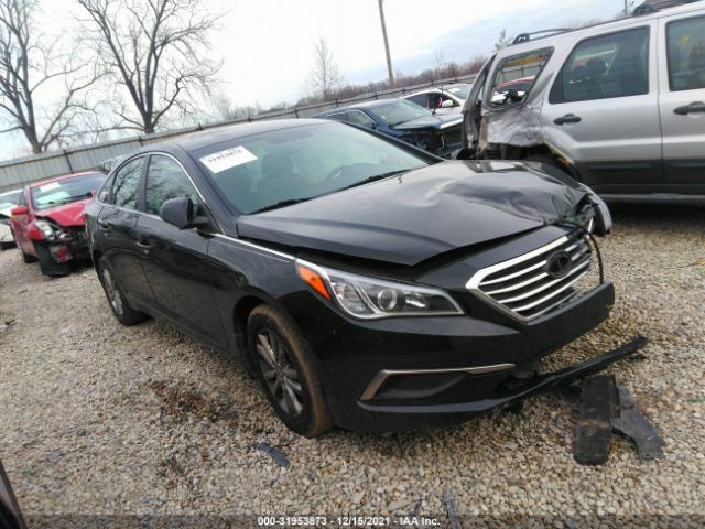 HYUNDAI SONATA 2017 5npe24af8hh551656