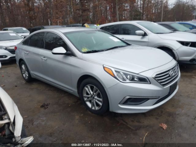 HYUNDAI SONATA 2017 5npe24af8hh562334