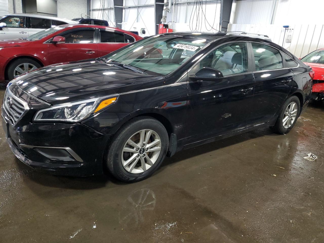 HYUNDAI SONATA 2017 5npe24af8hh562849