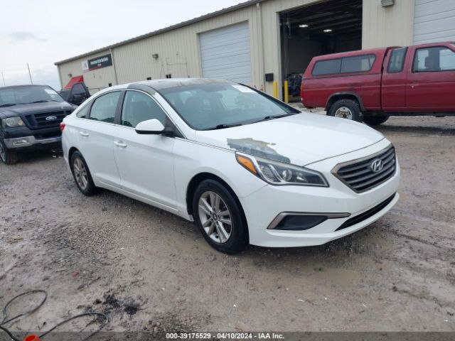 HYUNDAI SONATA 2017 5npe24af8hh564195