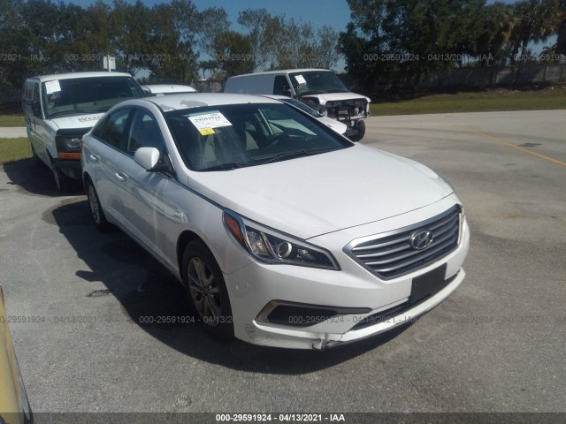 HYUNDAI SONATA 2017 5npe24af8hh564763