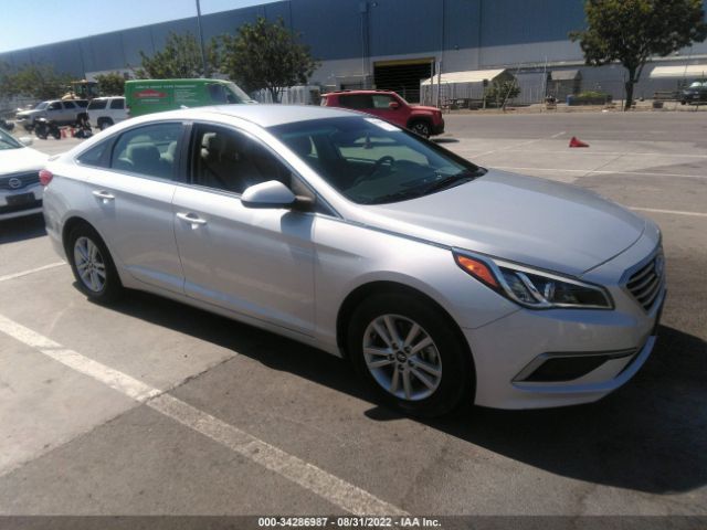 HYUNDAI SONATA 2017 5npe24af8hh565167