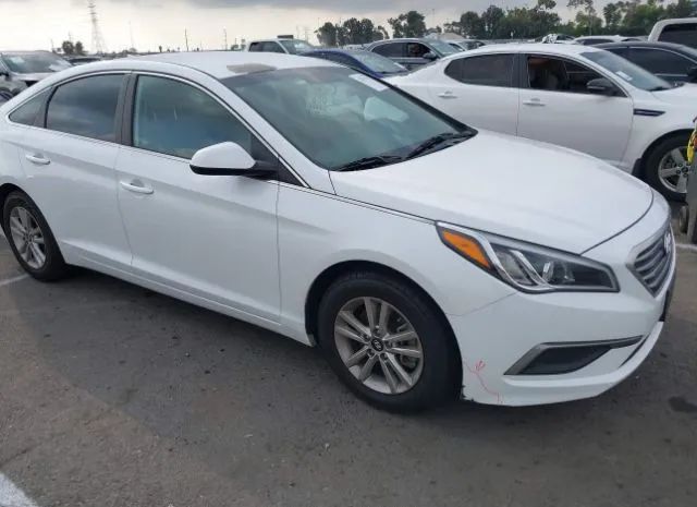 HYUNDAI SONATA 2017 5npe24af8hh566724