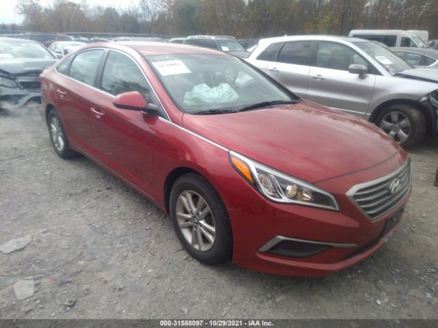 HYUNDAI SONATA 2017 5npe24af8hh567419