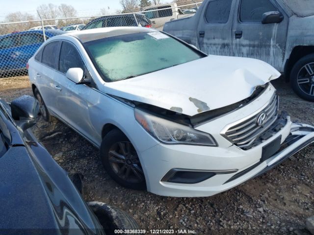 HYUNDAI SONATA 2017 5npe24af8hh568523