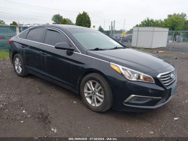 HYUNDAI SONATA 2017 5npe24af8hh569025