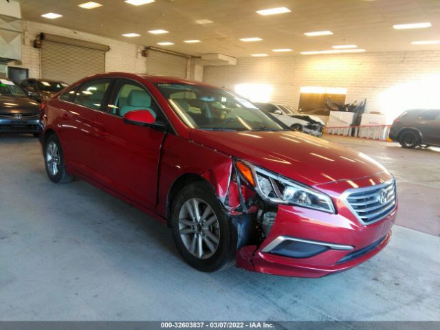 HYUNDAI SONATA 2017 5npe24af8hh571356