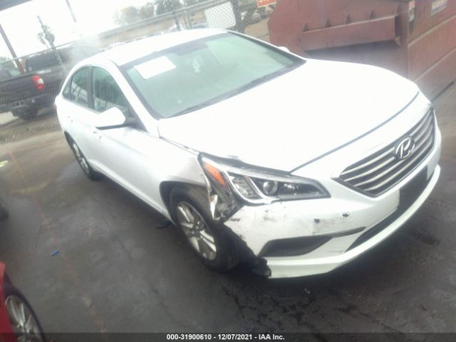 HYUNDAI SONATA 2017 5npe24af8hh576394