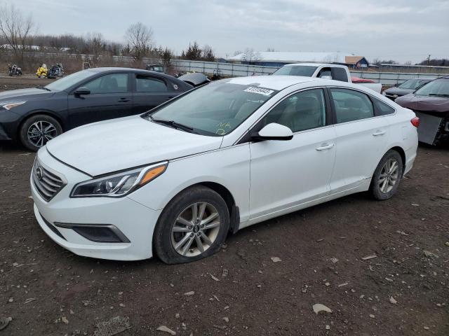 HYUNDAI SONATA SE 2017 5npe24af8hh577593