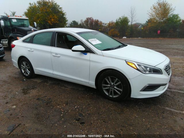 HYUNDAI SONATA 2017 5npe24af8hh580428