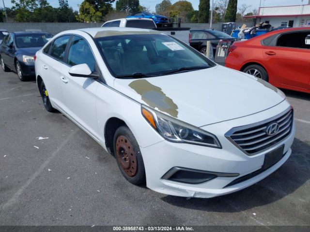 HYUNDAI SONATA 2017 5npe24af8hh582163