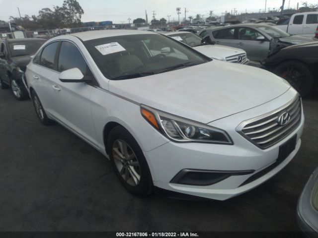 HYUNDAI SONATA 2017 5npe24af8hh584656