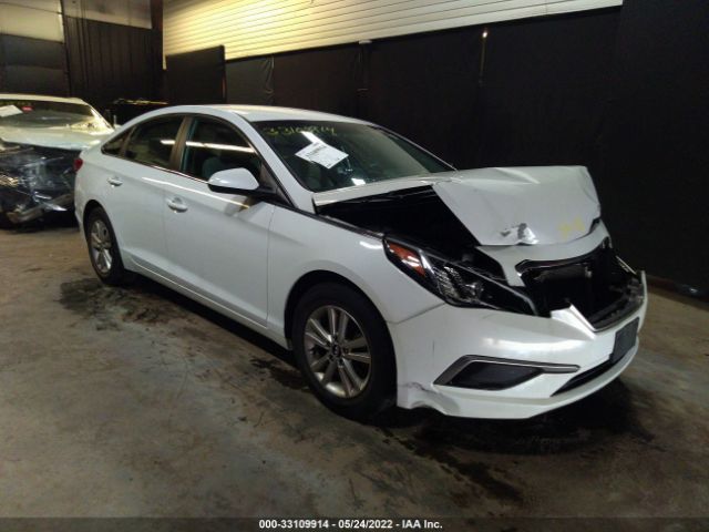 HYUNDAI SONATA 2017 5npe24af8hh594913