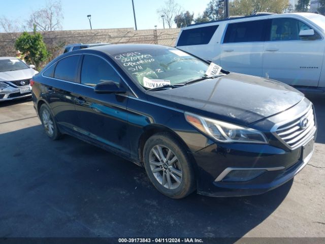 HYUNDAI SONATA 2017 5npe24af8hh595401