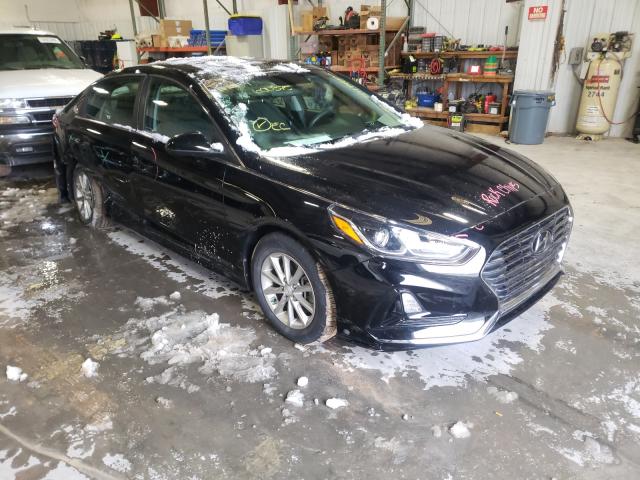 HYUNDAI SONATA 2017 5npe24af8jh600375