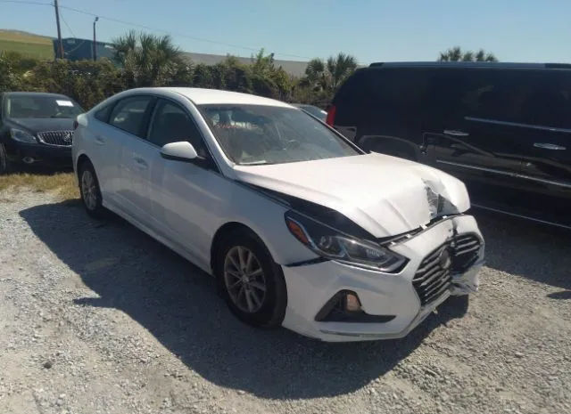 HYUNDAI SONATA 2018 5npe24af8jh624384