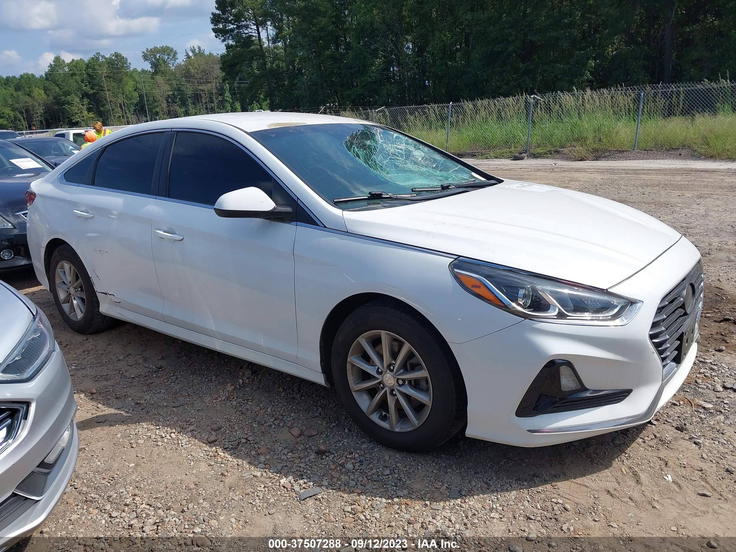 HYUNDAI SONATA 2018 5npe24af8jh634235