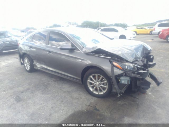 HYUNDAI SONATA 2018 5npe24af8jh640729