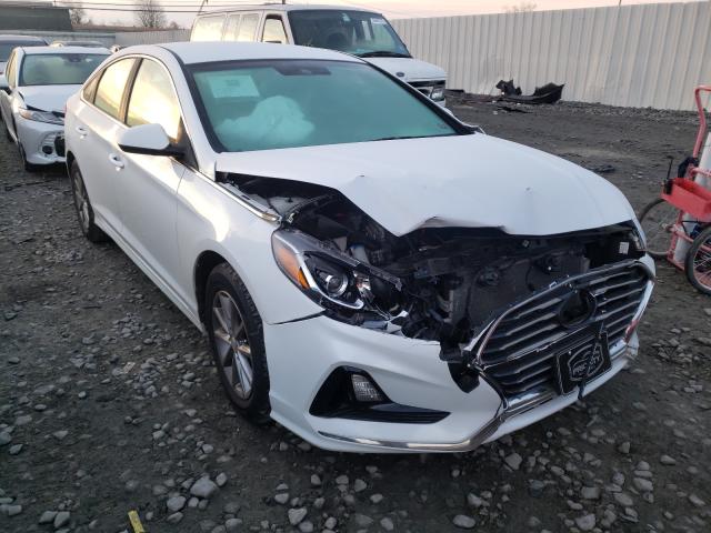 HYUNDAI SONATA SE 2018 5npe24af8jh647390