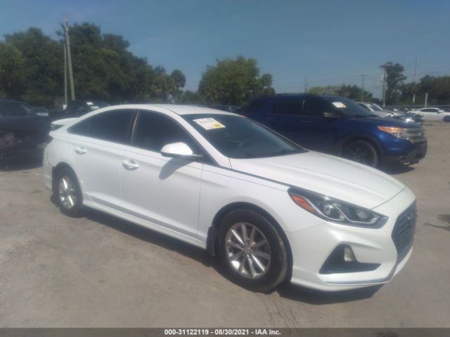 HYUNDAI SONATA 2018 5npe24af8jh689302