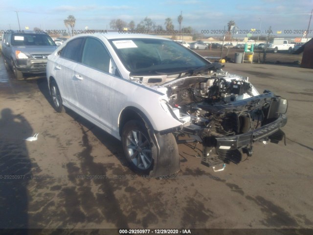 HYUNDAI SONATA 2018 5npe24af8jh697030