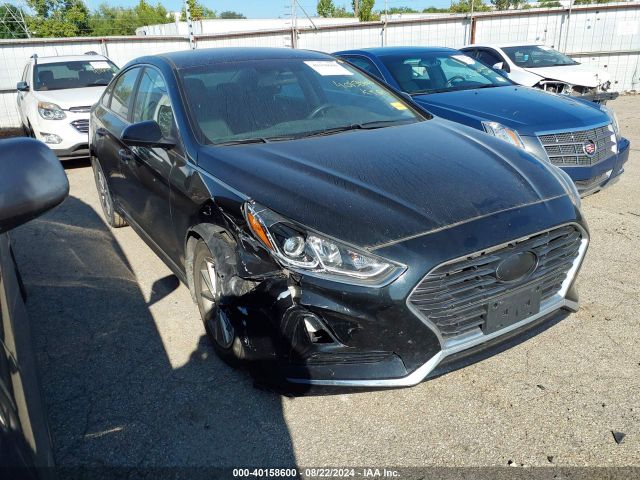 HYUNDAI SONATA 2018 5npe24af8jh706552