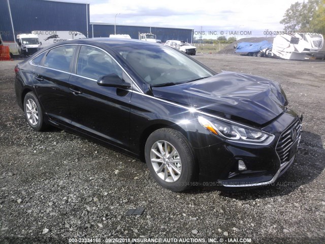 HYUNDAI SONATA 2018 5npe24af8jh707376