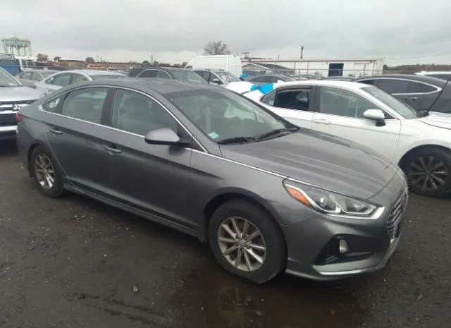 HYUNDAI SONATA 2018 5npe24af8jh717891