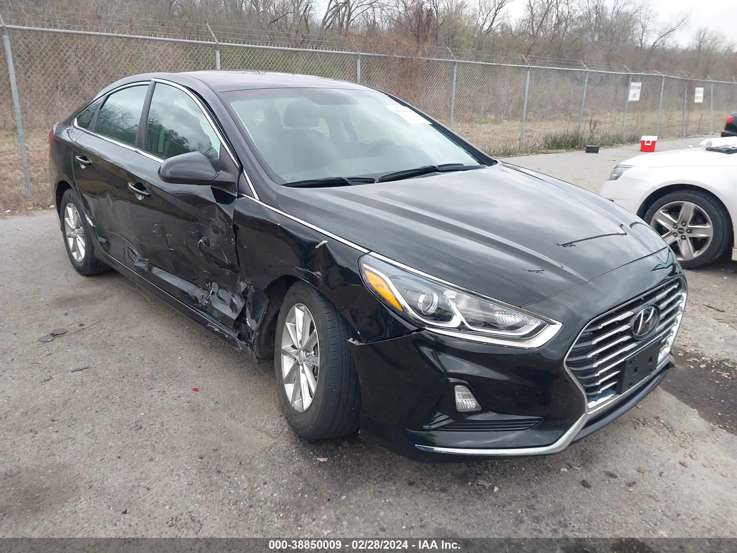 HYUNDAI SONATA 2019 5npe24af8k8740234