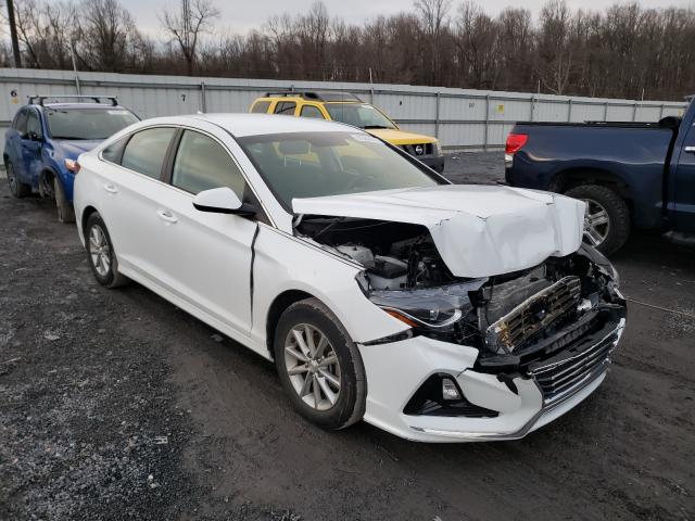 HYUNDAI SONATA SE 2019 5npe24af8kh731470