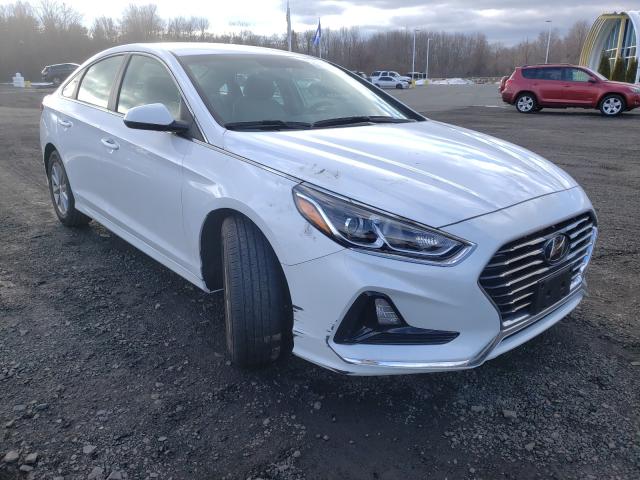 HYUNDAI SONATA SE 2019 5npe24af8kh734269