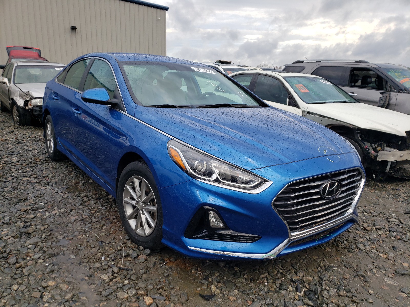 HYUNDAI SONATA SE 2019 5npe24af8kh736930