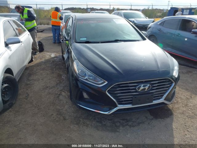 HYUNDAI SONATA 2019 5npe24af8kh737060