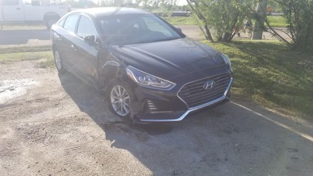 HYUNDAI SONATA SE 2019 5npe24af8kh737107