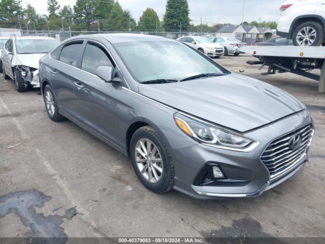 HYUNDAI SONATA 2019 5npe24af8kh744364