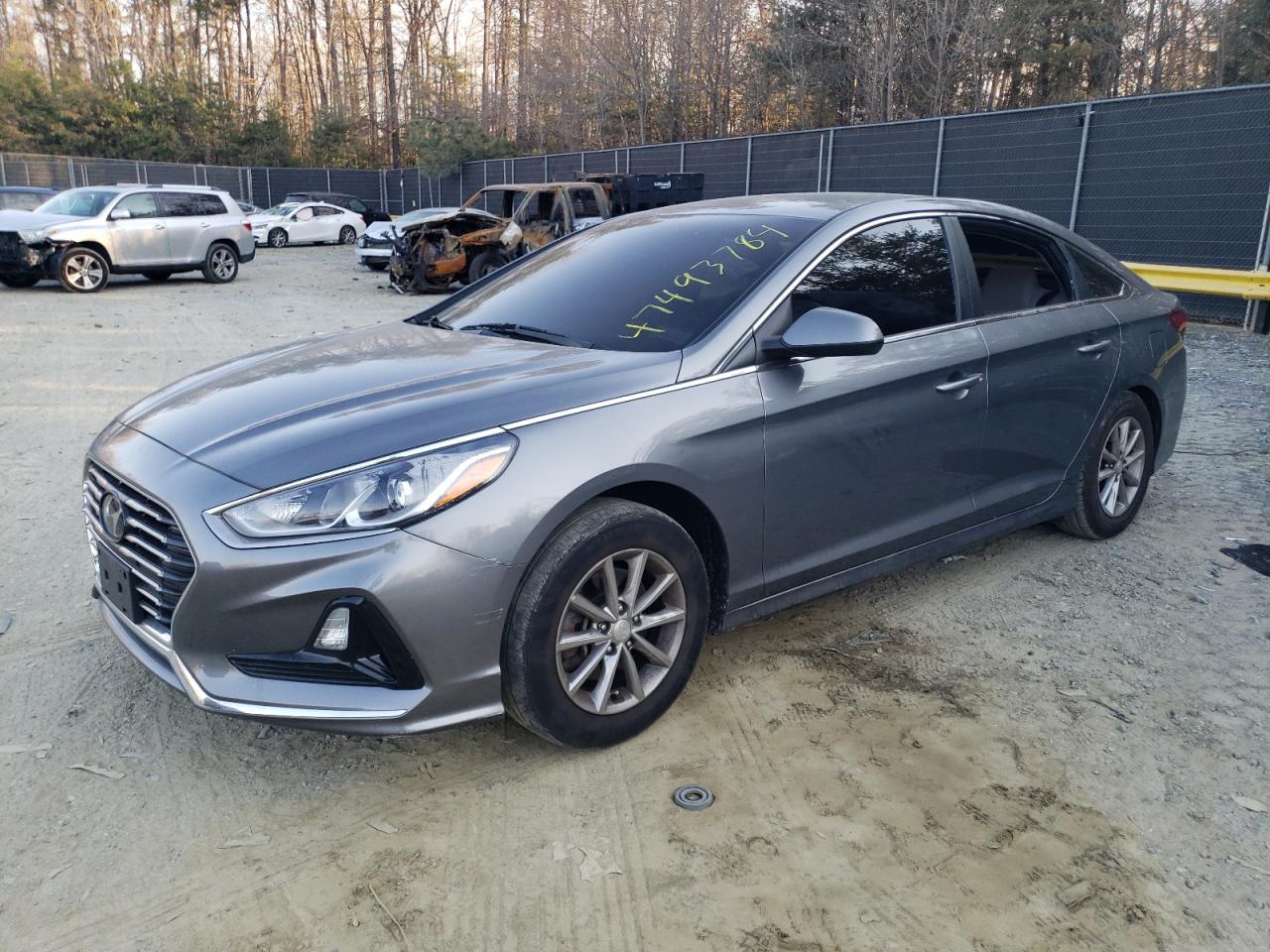 HYUNDAI SONATA 2019 5npe24af8kh749287