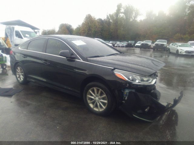 HYUNDAI SONATA 2019 5npe24af8kh749919