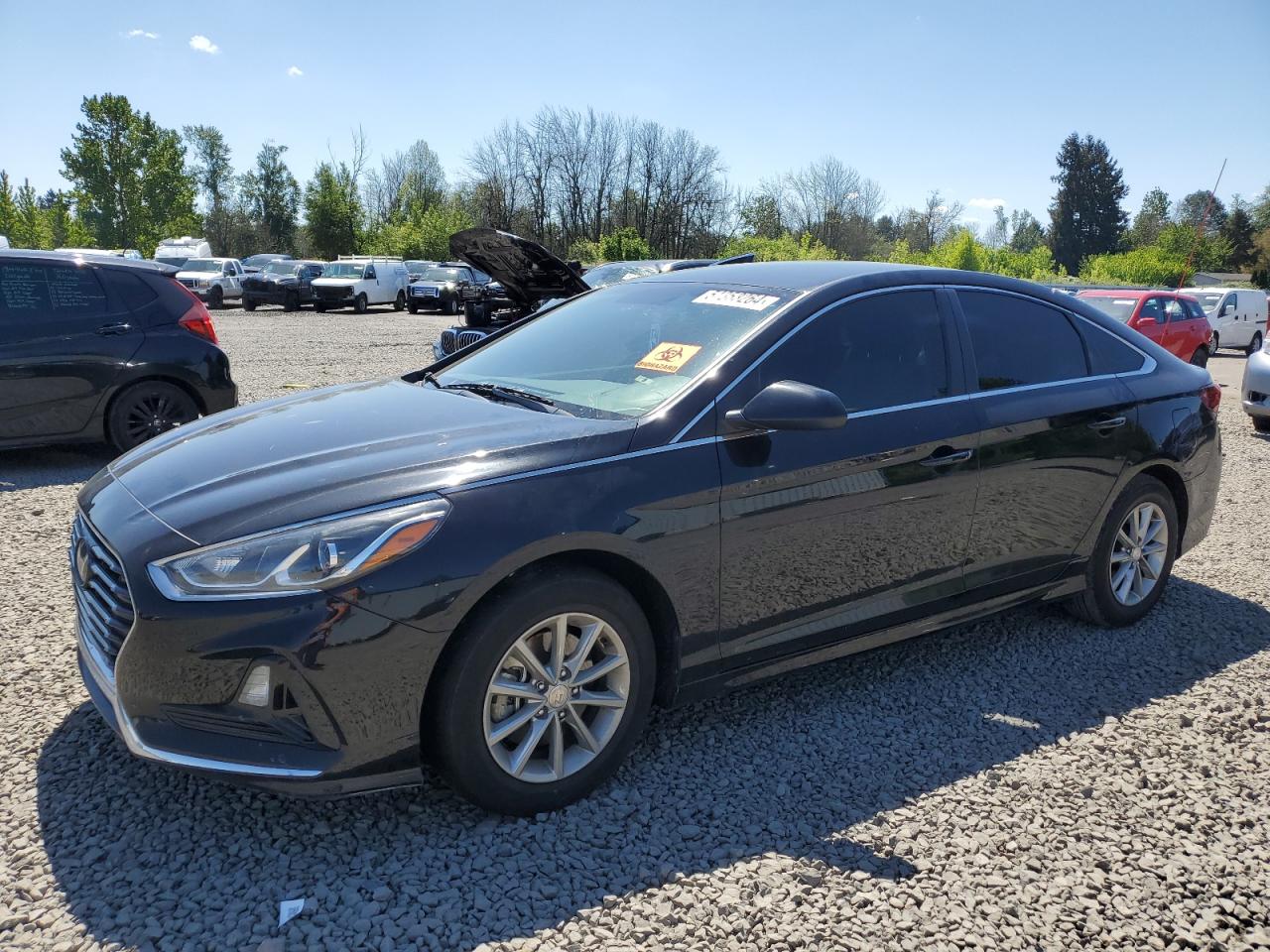 HYUNDAI SONATA 2019 5npe24af8kh750178