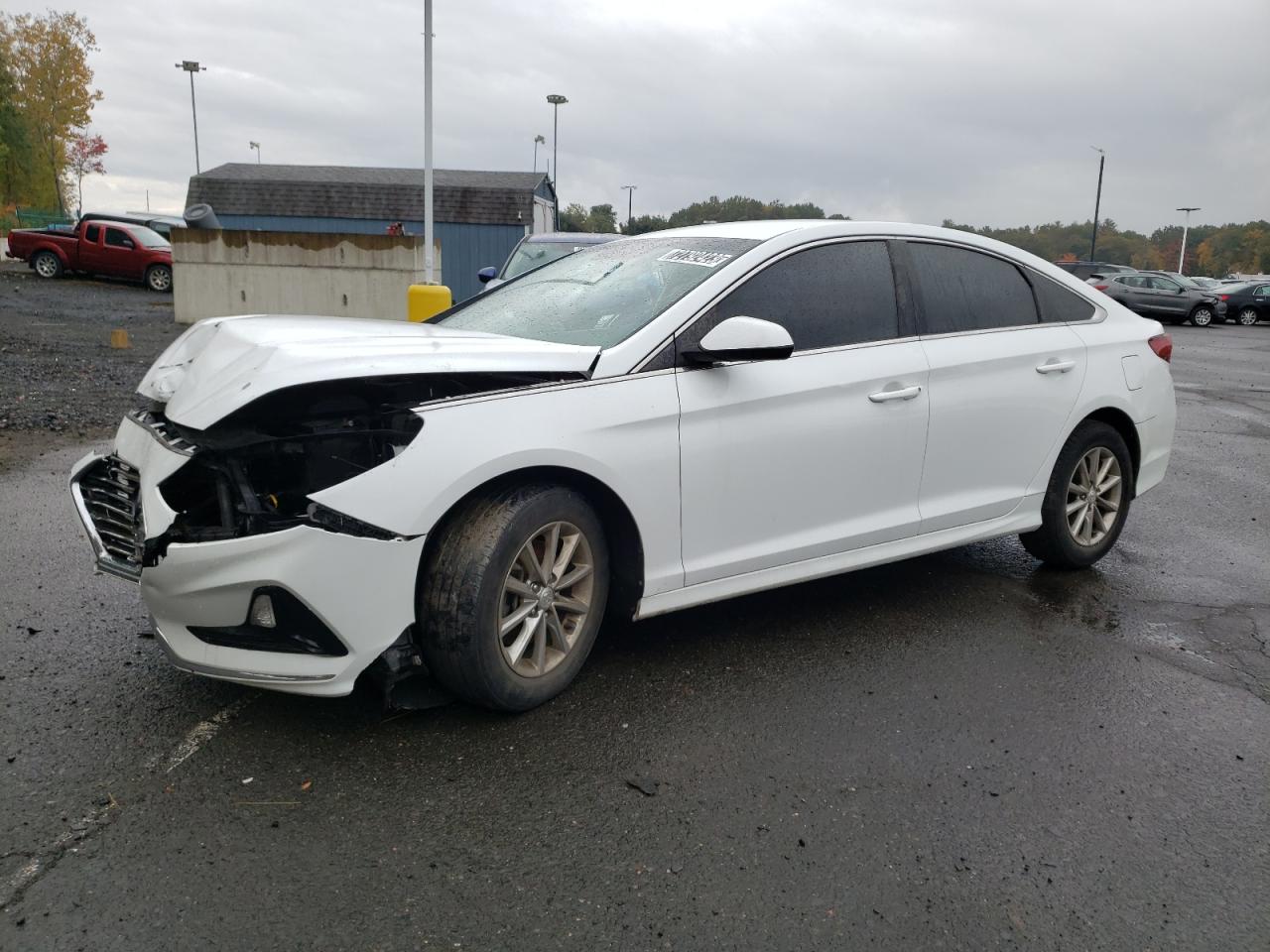 HYUNDAI SONATA 2019 5npe24af8kh750715