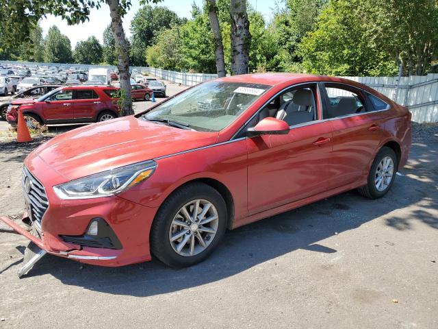 HYUNDAI SONATA 2019 5npe24af8kh752125