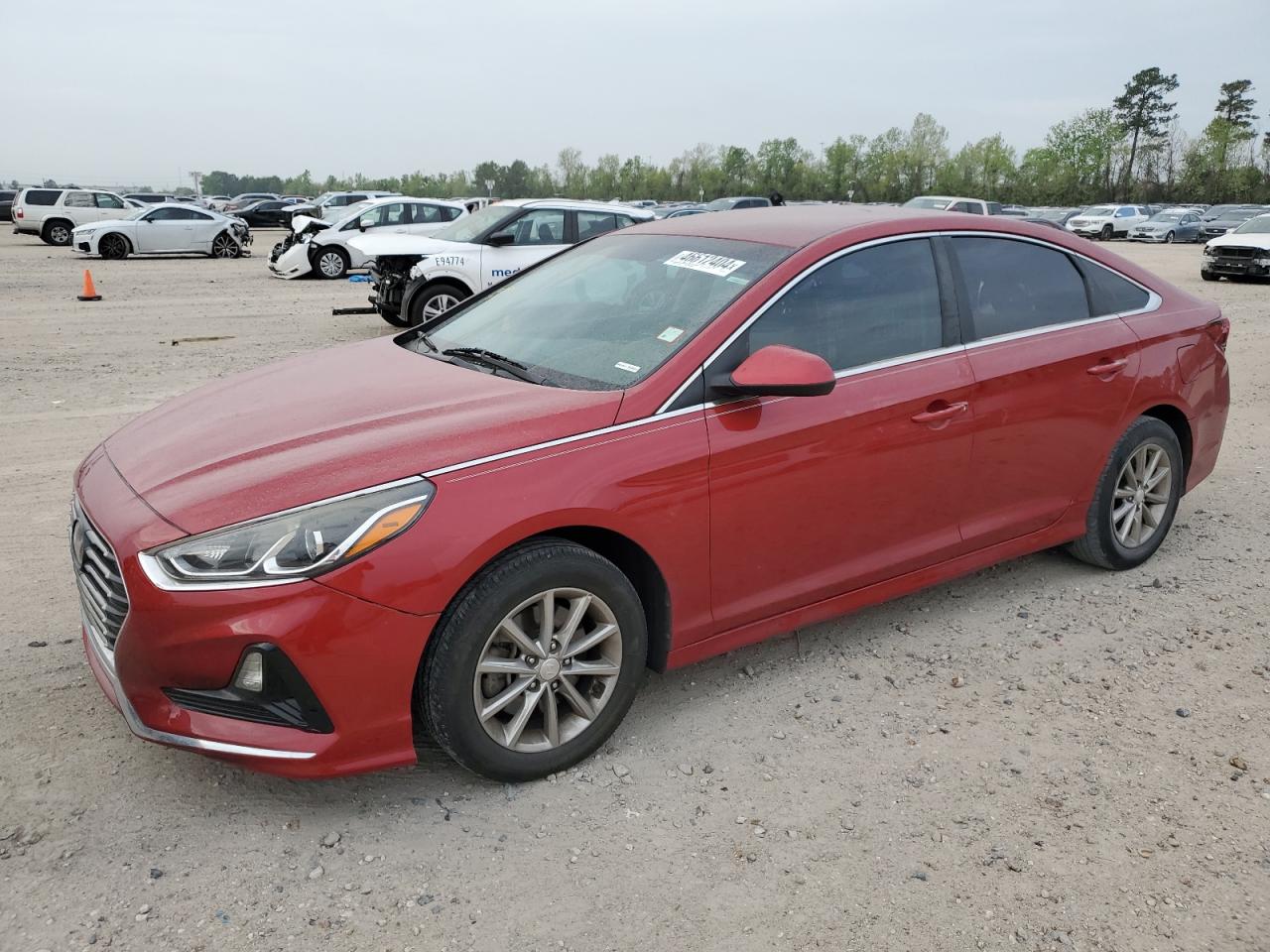 HYUNDAI SONATA 2019 5npe24af8kh752187