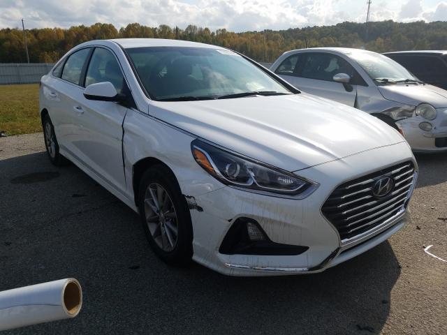 HYUNDAI SONATA SE 2019 5npe24af8kh752741