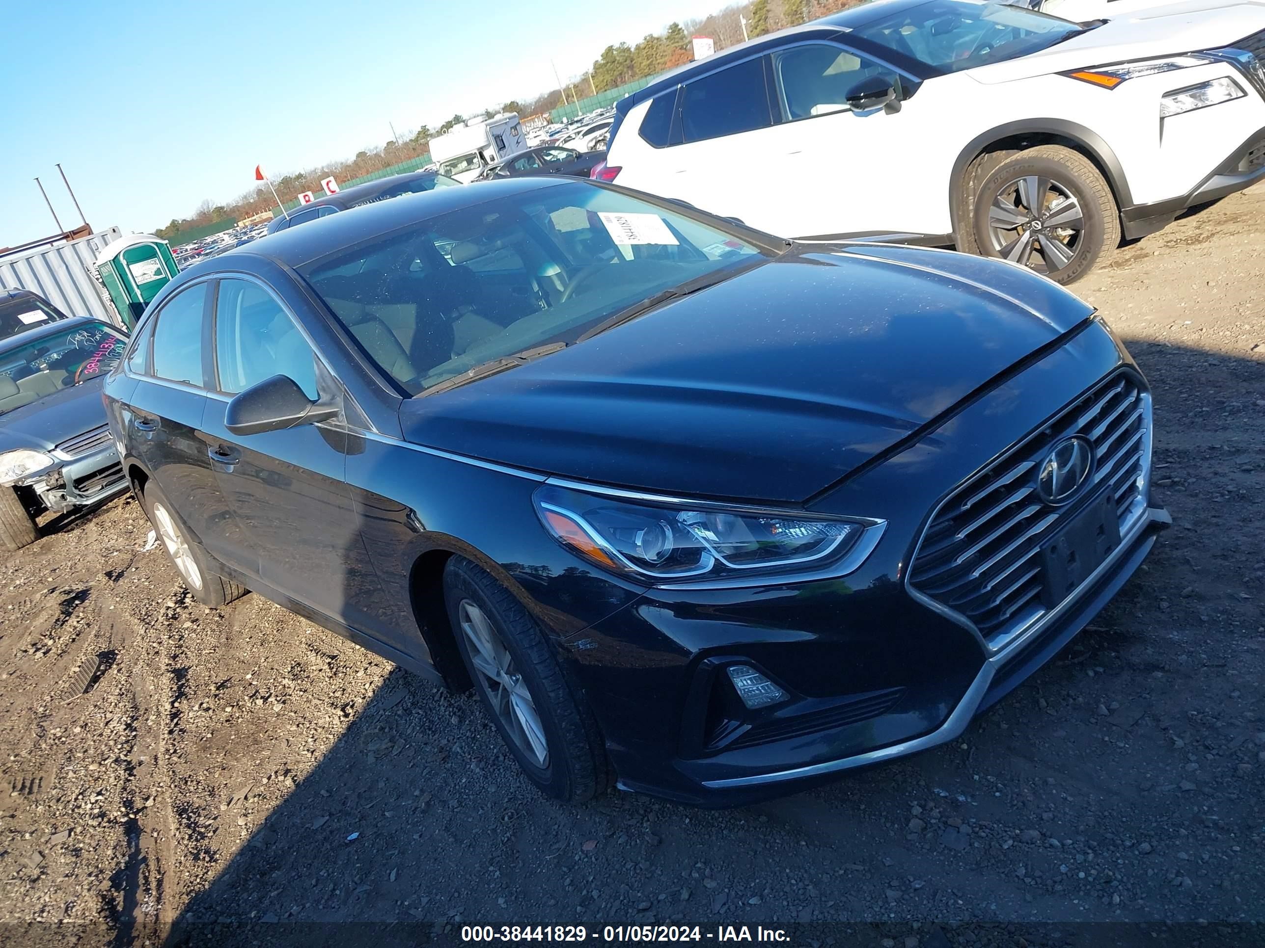 HYUNDAI SONATA 2019 5npe24af8kh755123