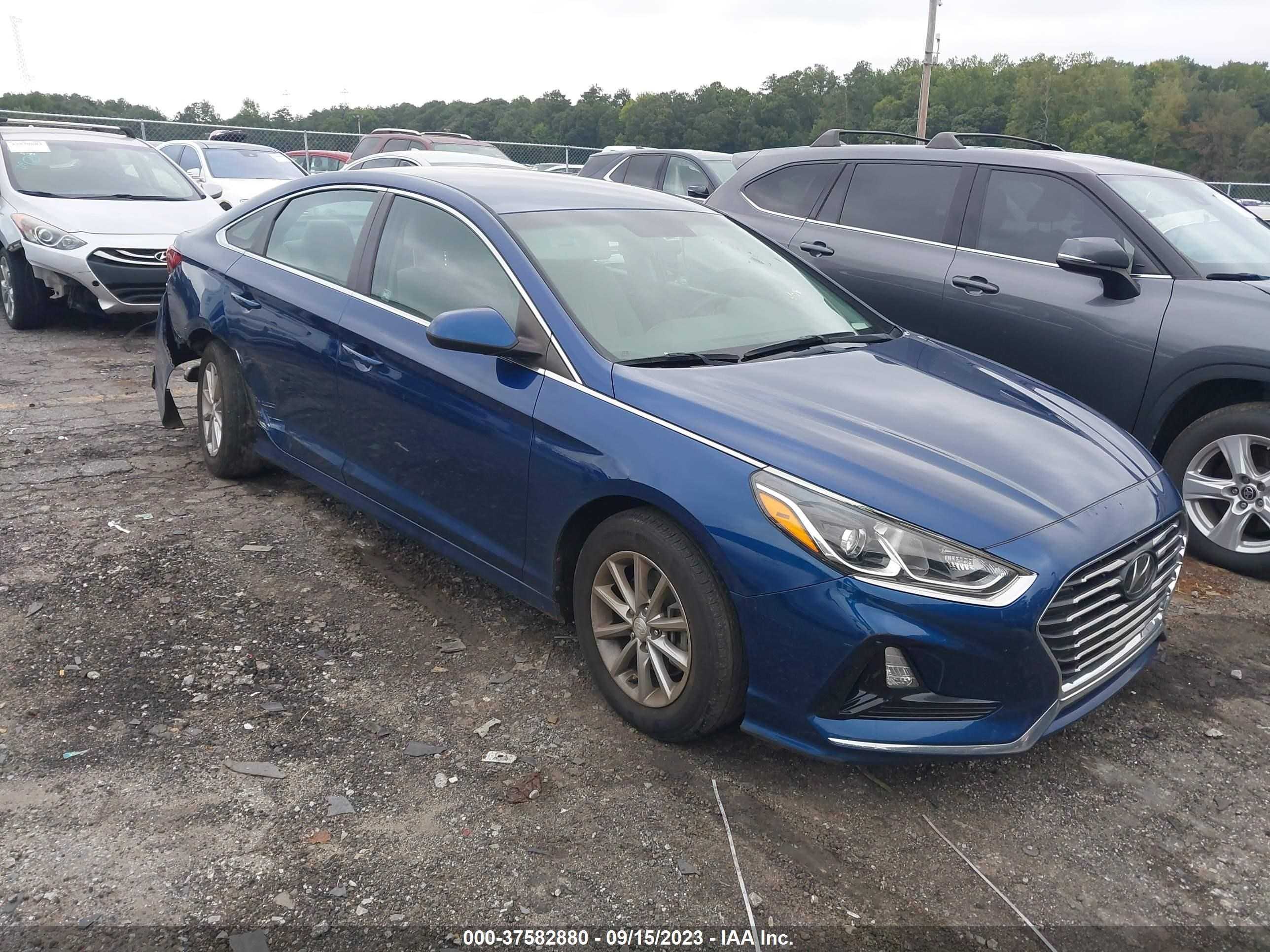 HYUNDAI SONATA 2019 5npe24af8kh756126