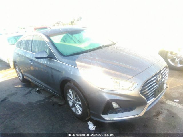 HYUNDAI SONATA 2019 5npe24af8kh758118