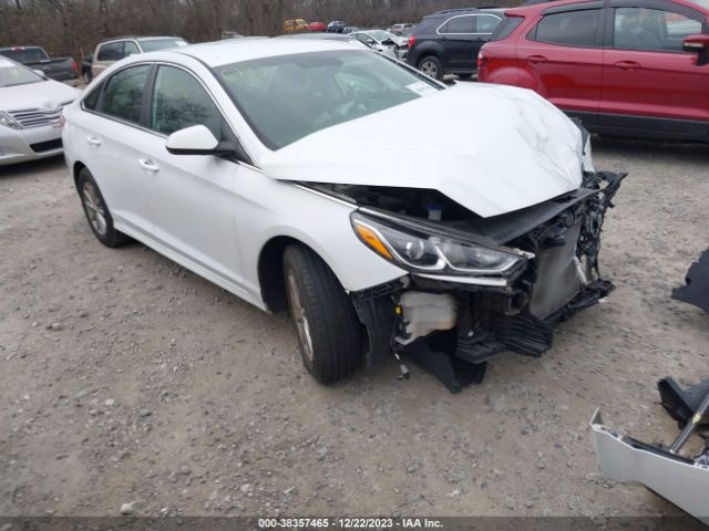 HYUNDAI SONATA 2019 5npe24af8kh758569