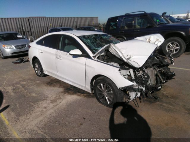 HYUNDAI SONATA 2019 5npe24af8kh762220